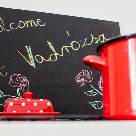 Vadrozsa Vendeghaz Racalmas Guest House Luaran gambar