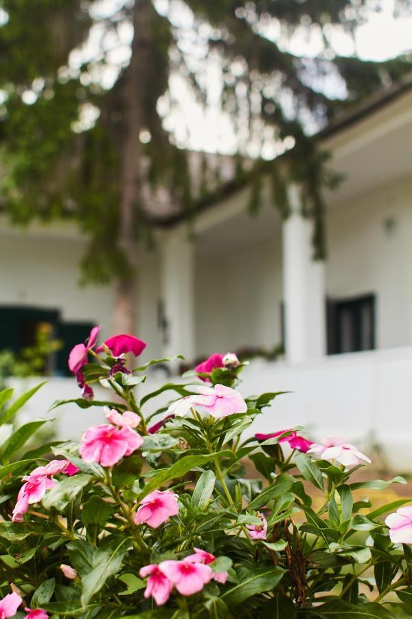 Vadrozsa Vendeghaz Racalmas Guest House Luaran gambar