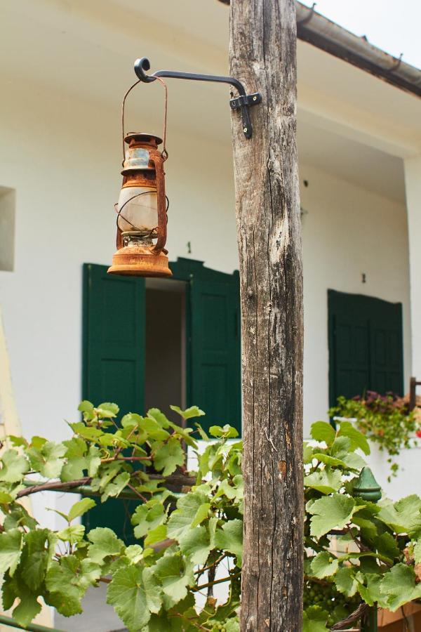 Vadrozsa Vendeghaz Racalmas Guest House Luaran gambar